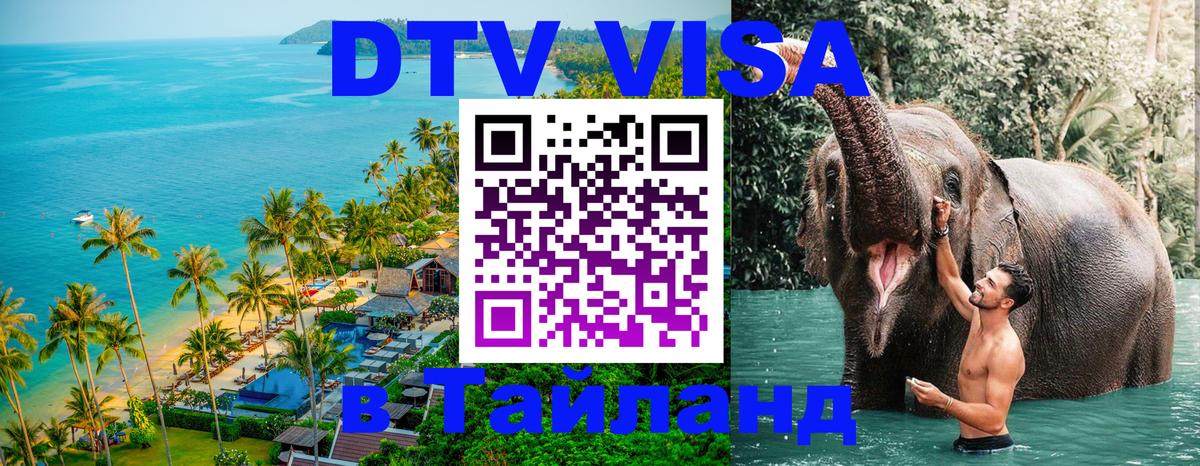 Сколько стоит DTV виза — актуальные цены, оформление даже без документов - 04.10.2025 